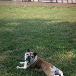 Meet your Posher, Mark